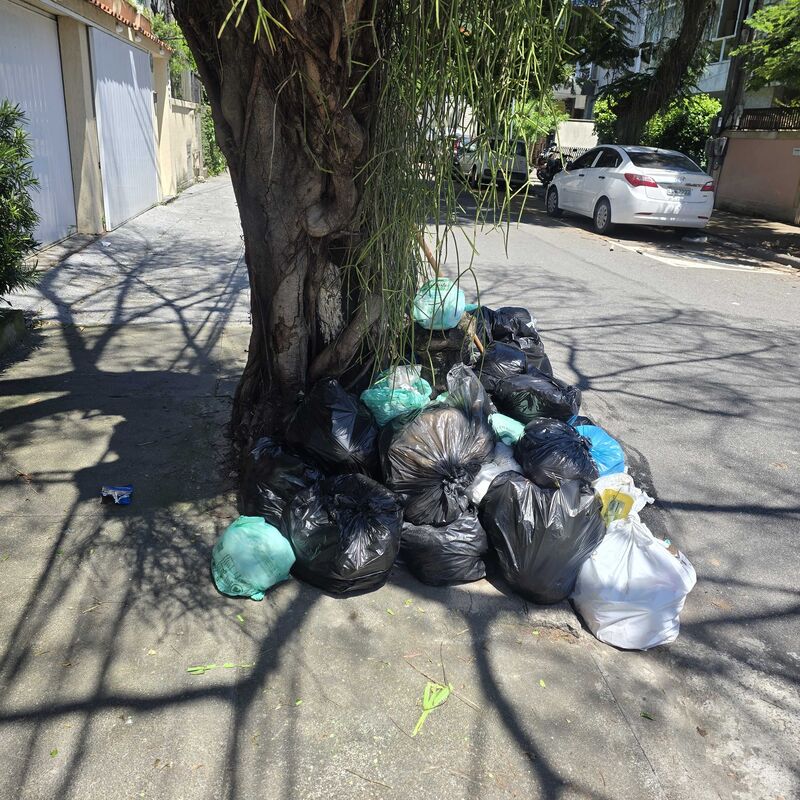 Imagem da publicação