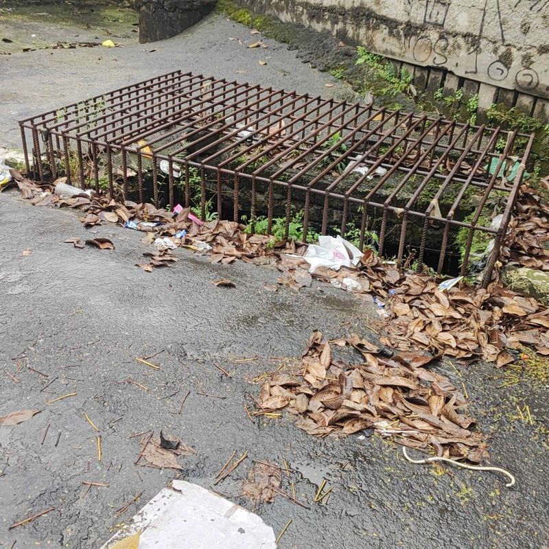 Imagem da publicação