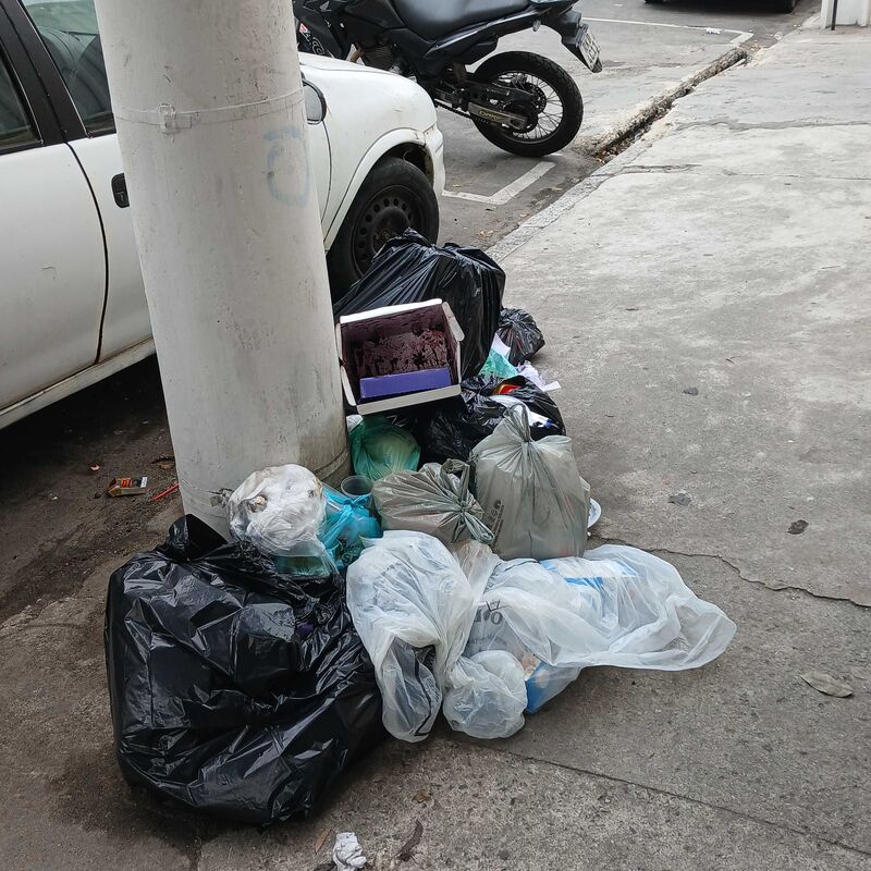Imagem da publicação