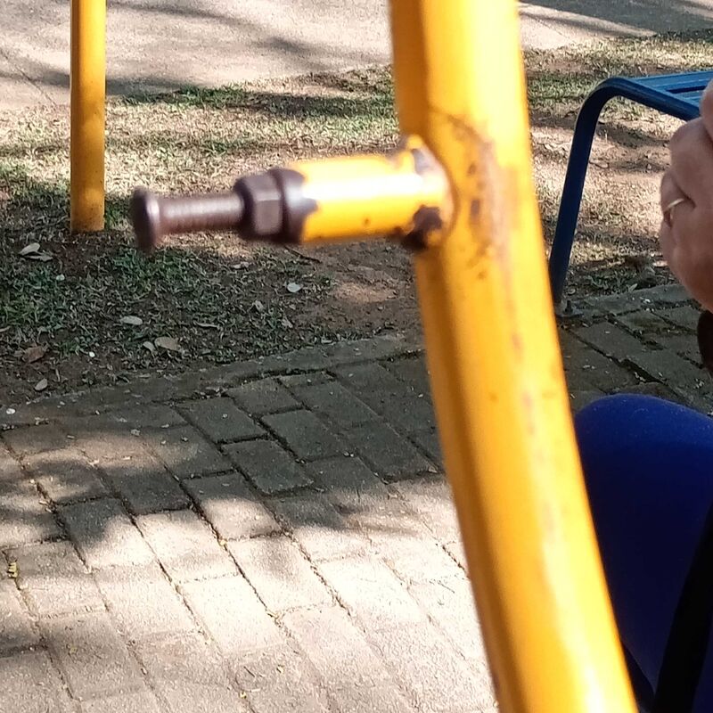 Imagem da publicação