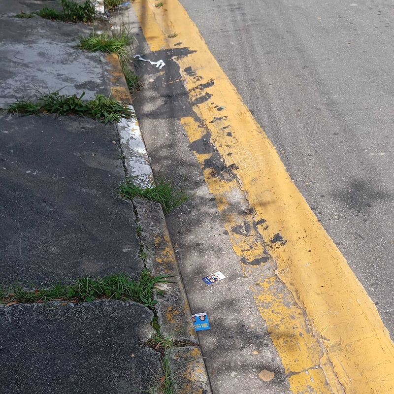 Imagem da publicação