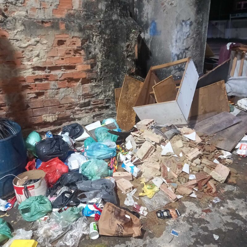 Imagem da publicação