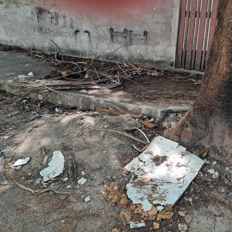 Imagem da publicação