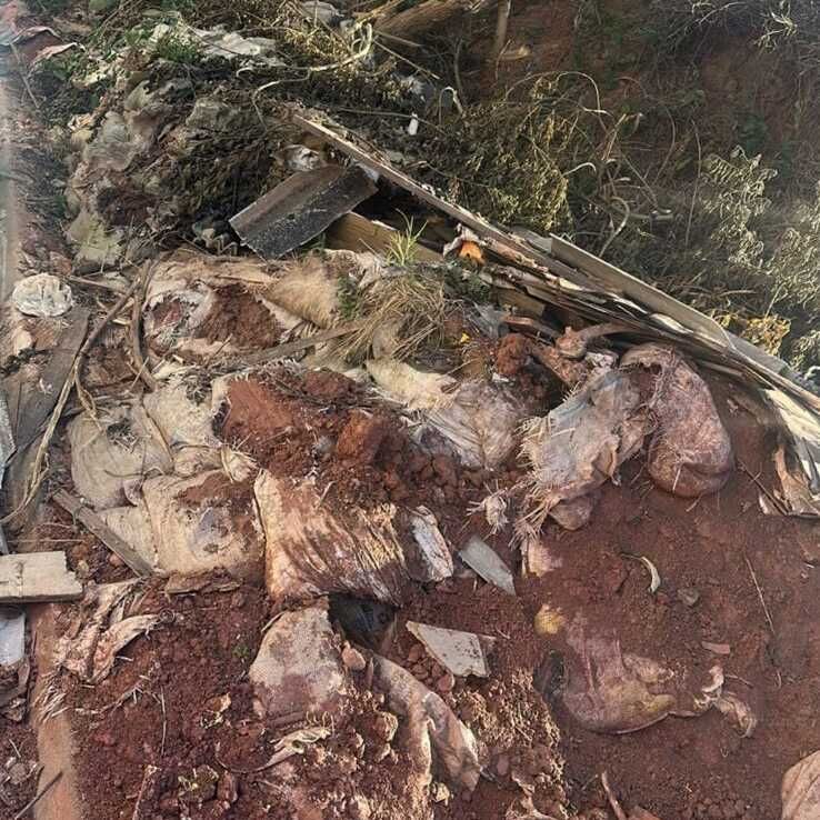 Imagem da publicação