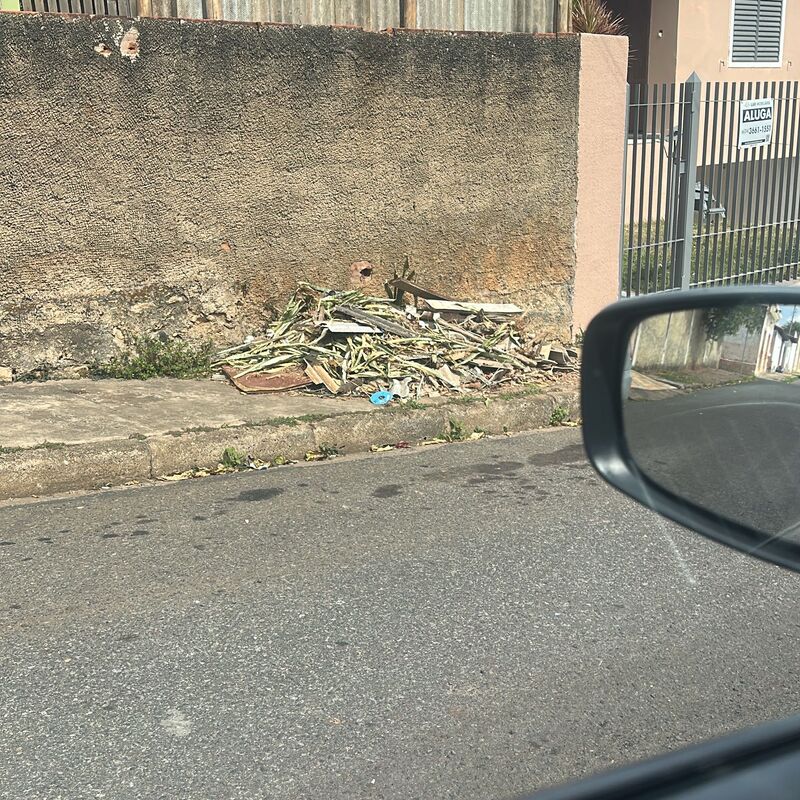 Imagem da publicação