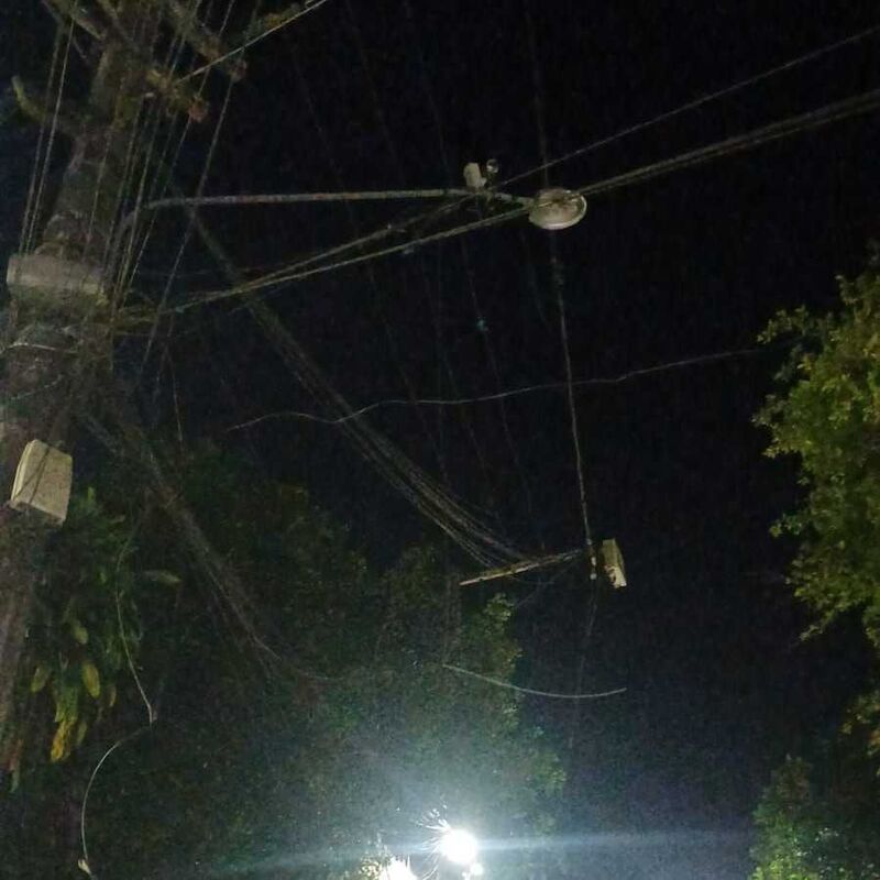 Imagem da publicação