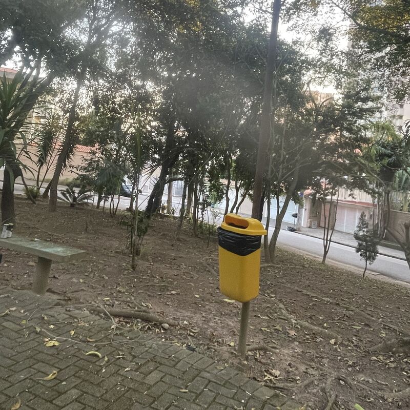 Imagem da publicação