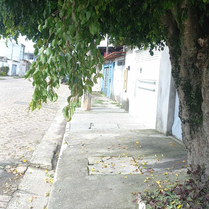 Imagem da publicação