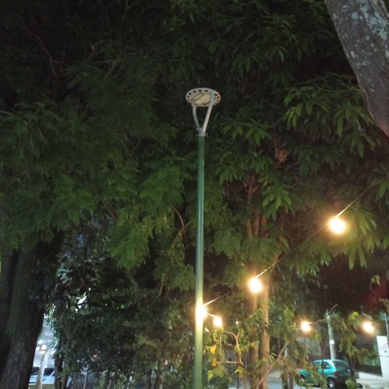 Imagem da publicação