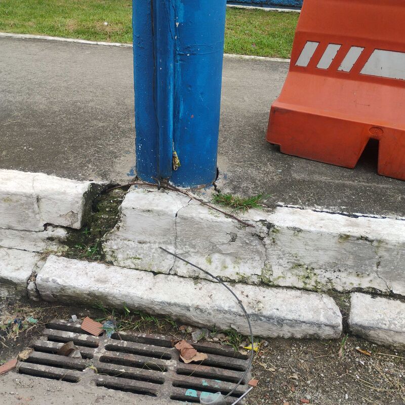 Imagem da publicação