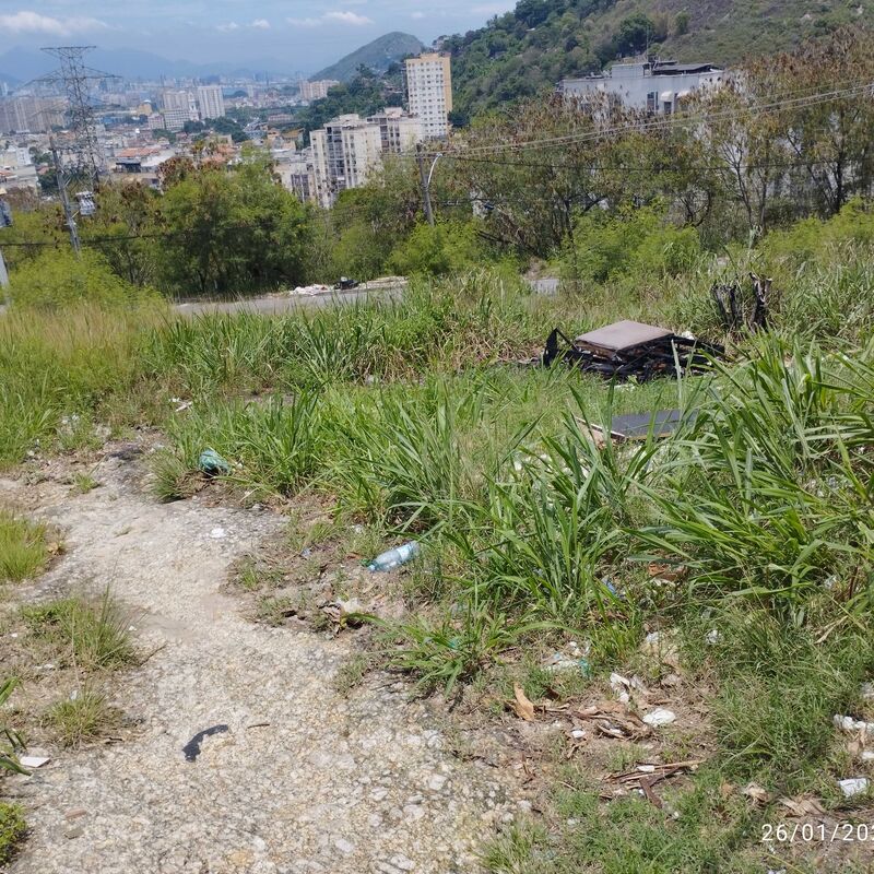 Imagem da publicação