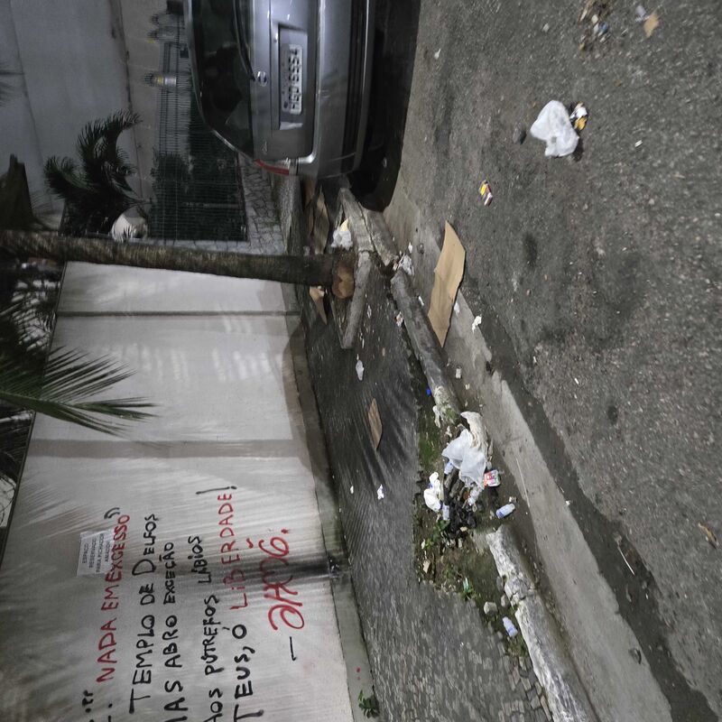 Imagem da publicação