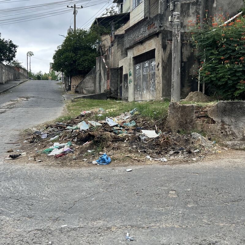 Imagem da publicação