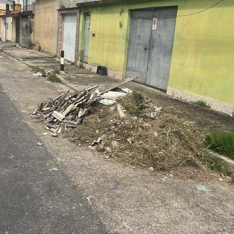 Imagem da publicação