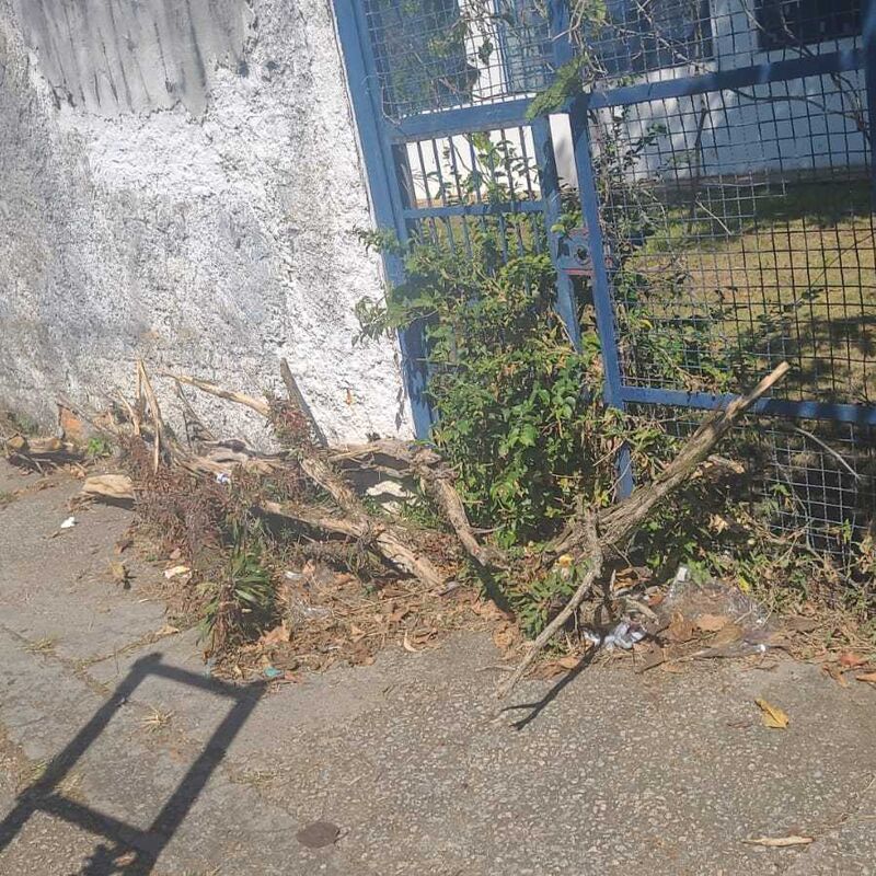 Imagem da publicação