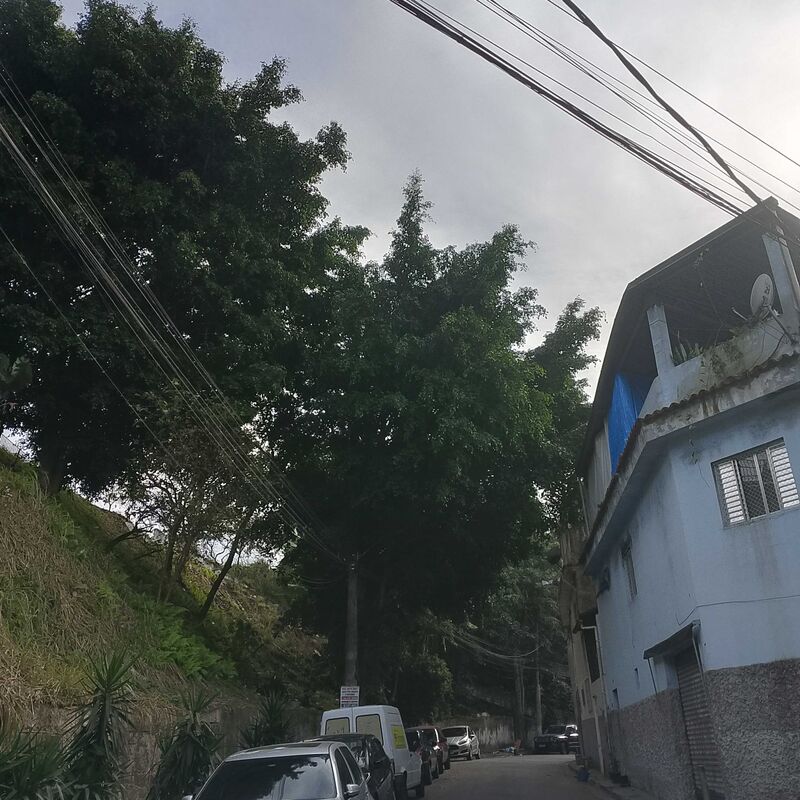 Imagem da publicação