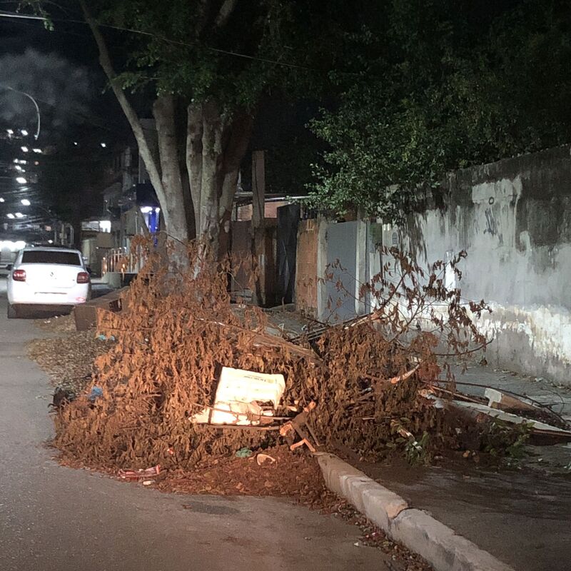 Imagem da publicação