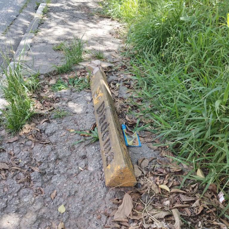 Imagem da publicação