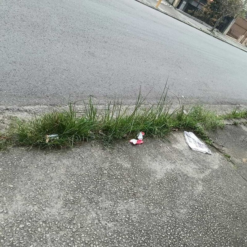 Imagem da publicação