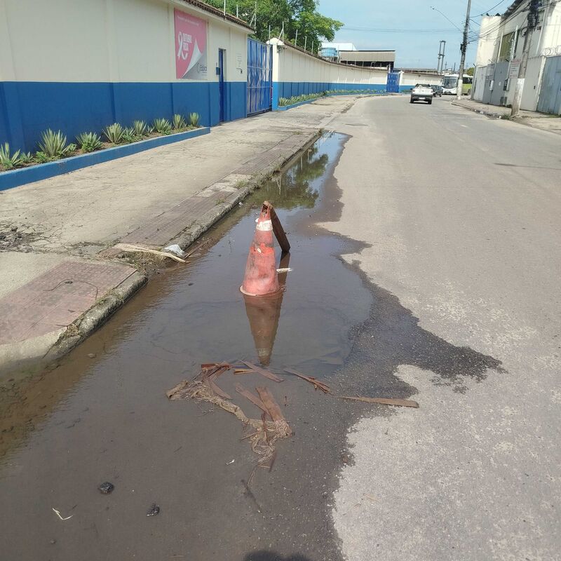 Imagem da publicação