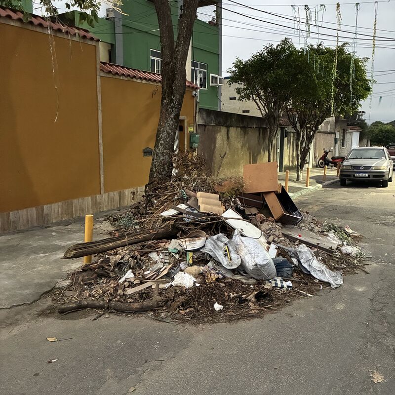 Imagem da publicação
