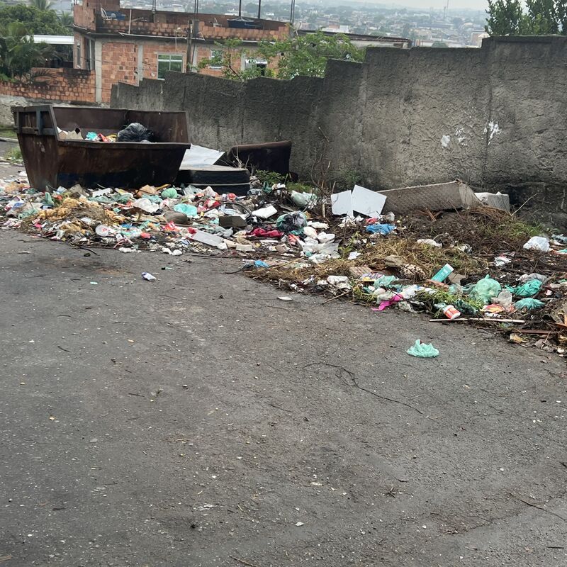 Imagem da publicação