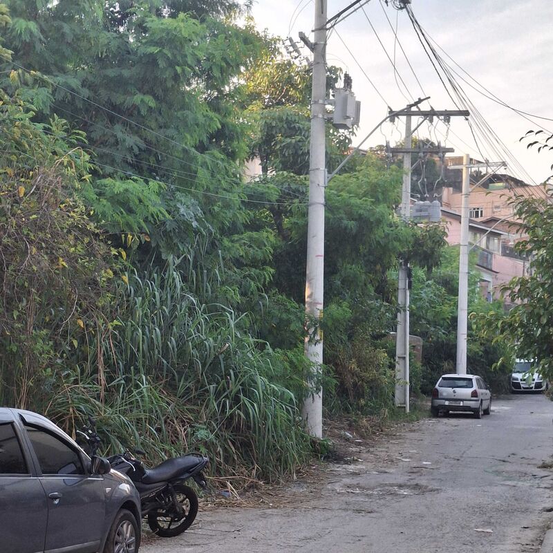 Imagem da publicação