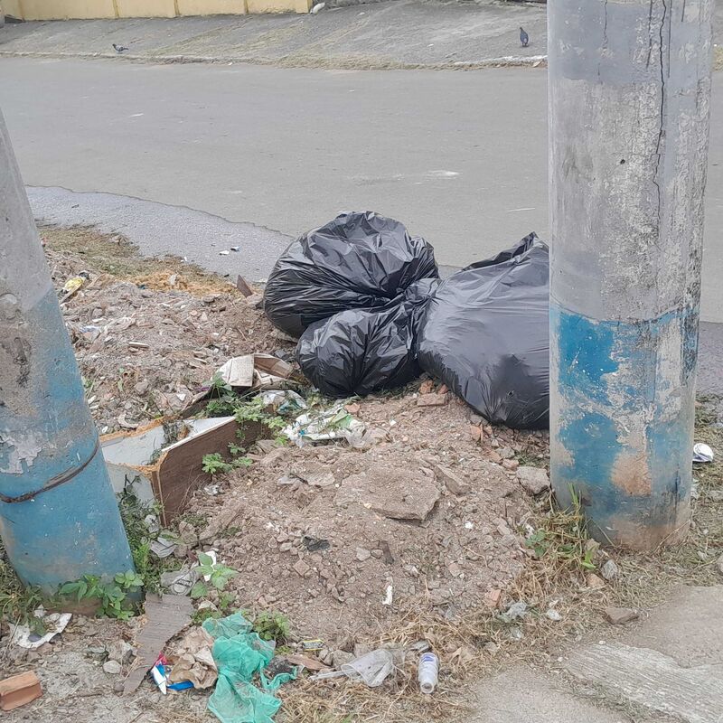 Imagem da publicação