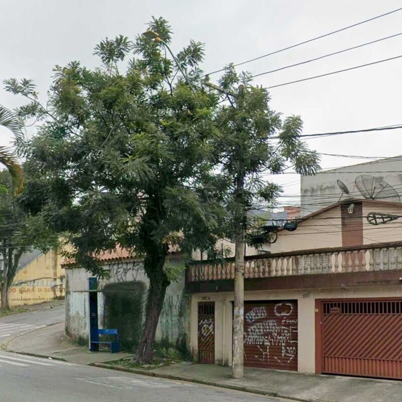 Imagem da publicação