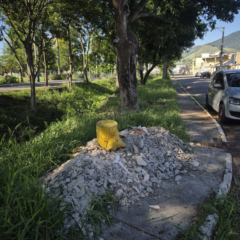 Imagem da publicação