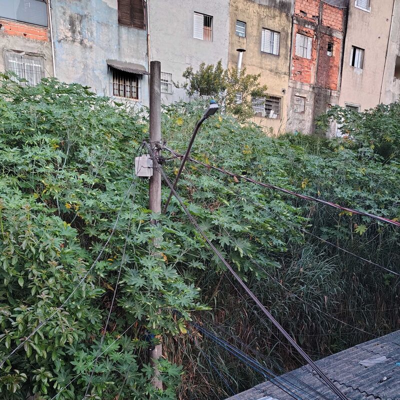 Imagem da publicação