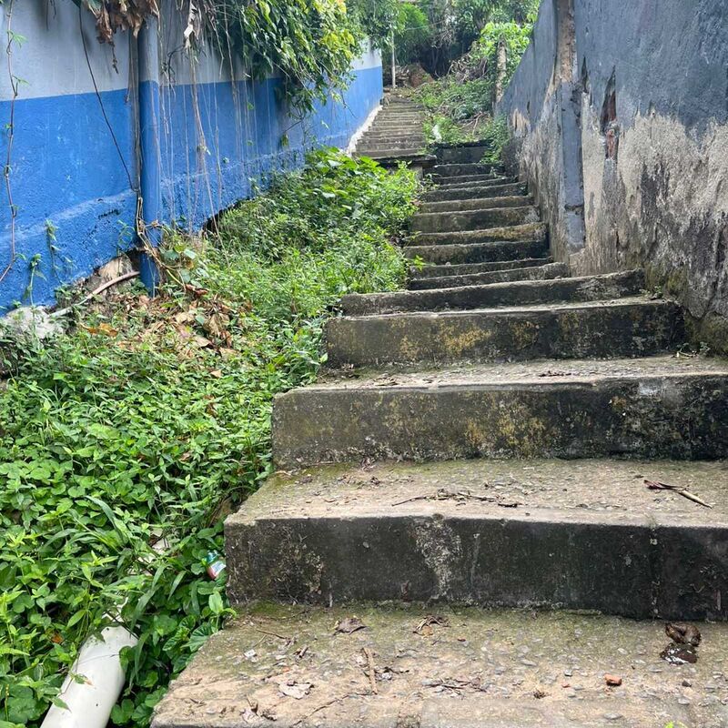 Imagem da publicação