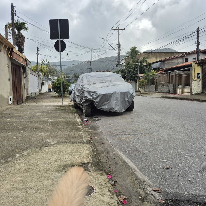 Imagem da publicação