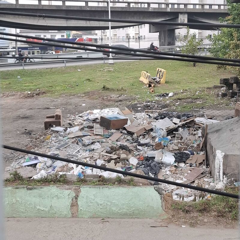 Imagem da publicação