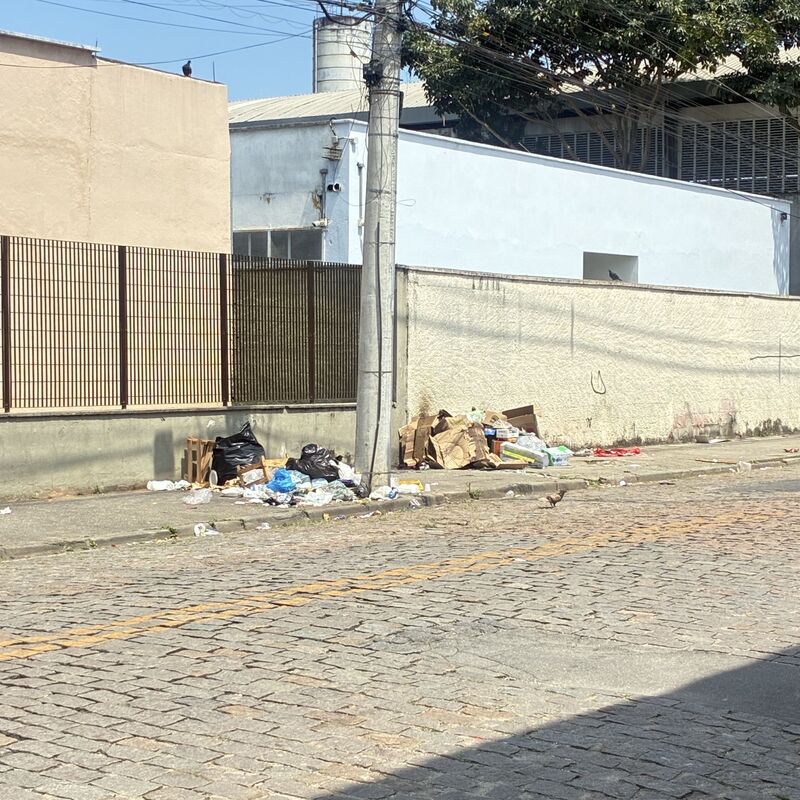 Imagem da publicação