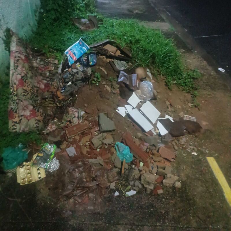 Imagem da publicação