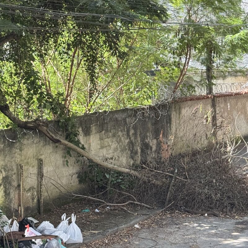 Imagem da publicação