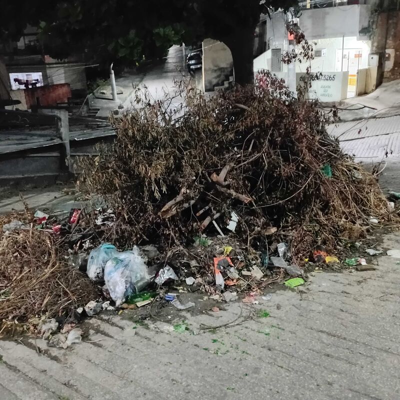 Imagem da publicação
