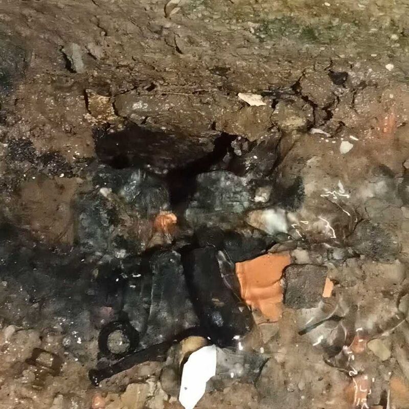 Imagem da publicação