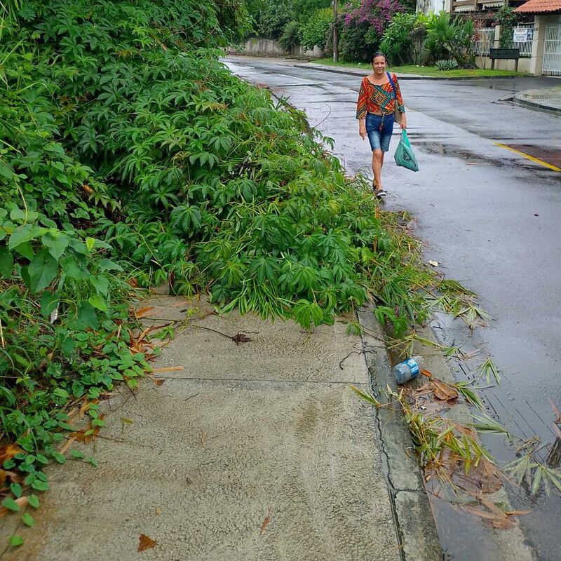 Imagem da publicação