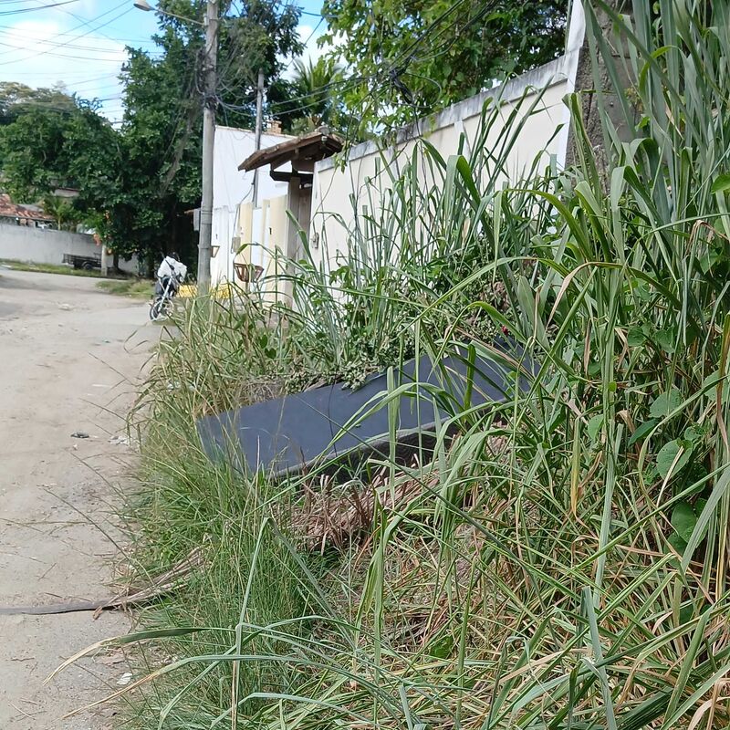 Imagem da publicação