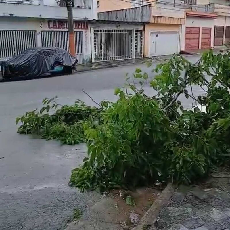 Imagem da publicação