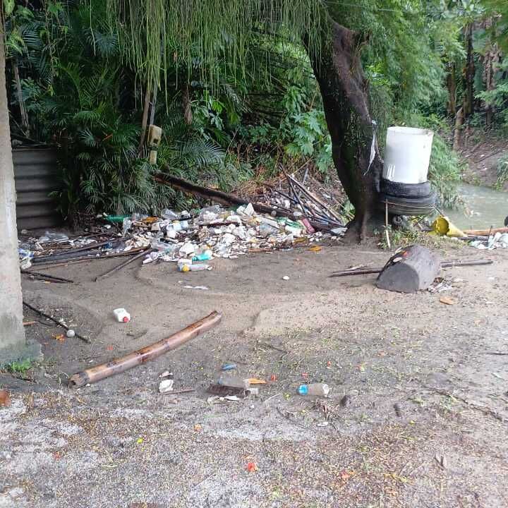 Imagem da publicação