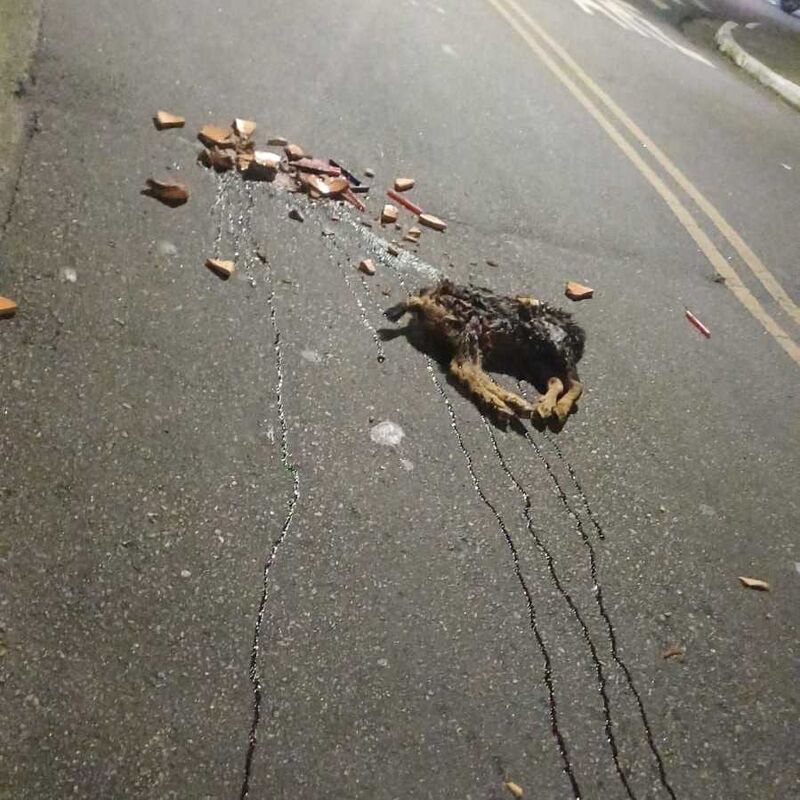 Imagem da publicação