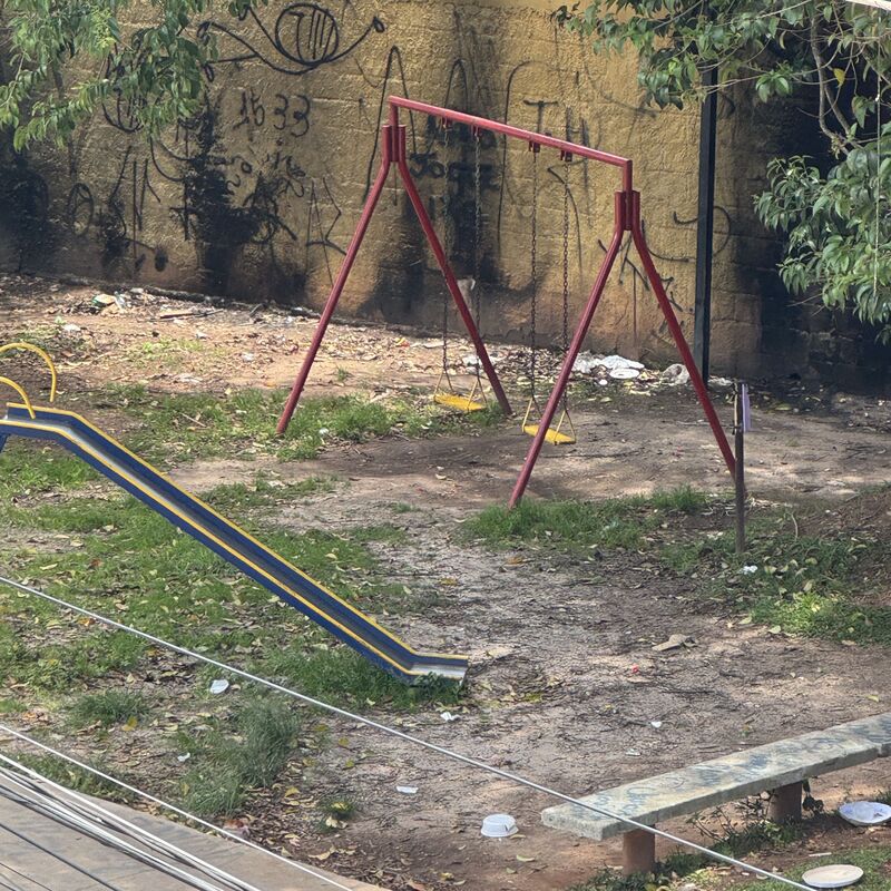 Imagem da publicação