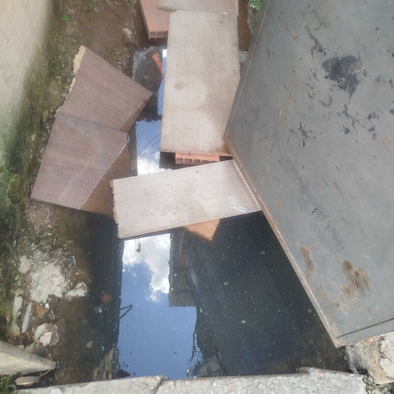 Imagem da publicação