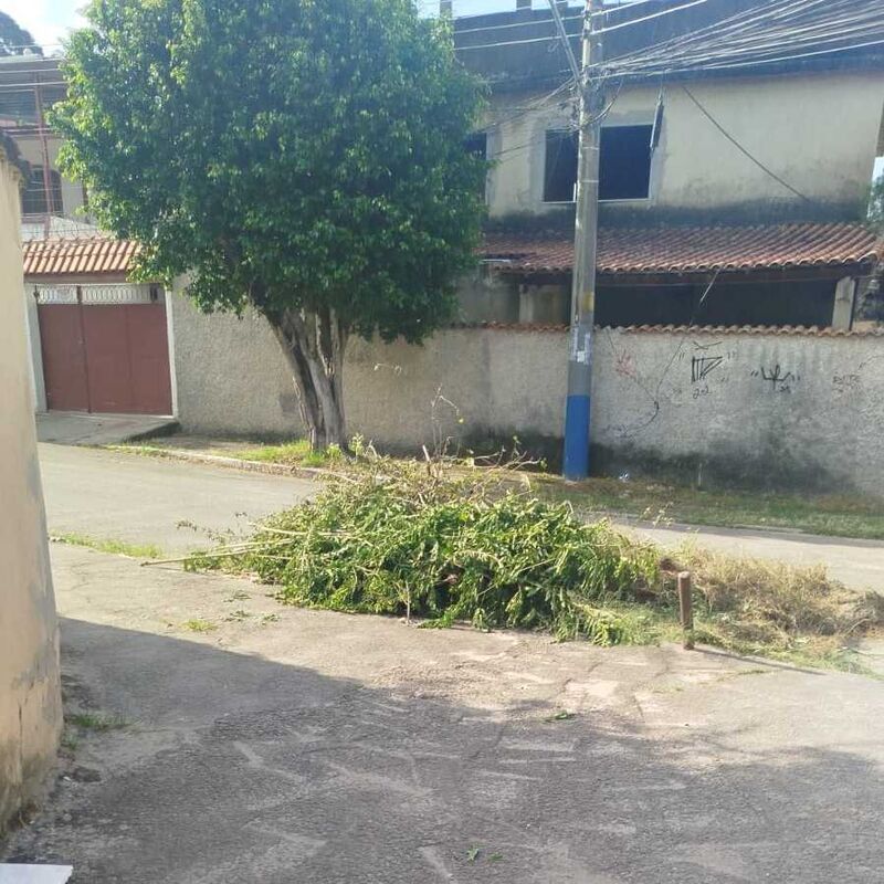 Imagem da publicação