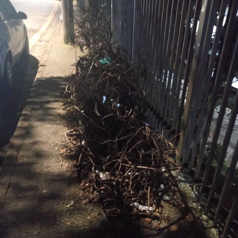 Imagem da publicação