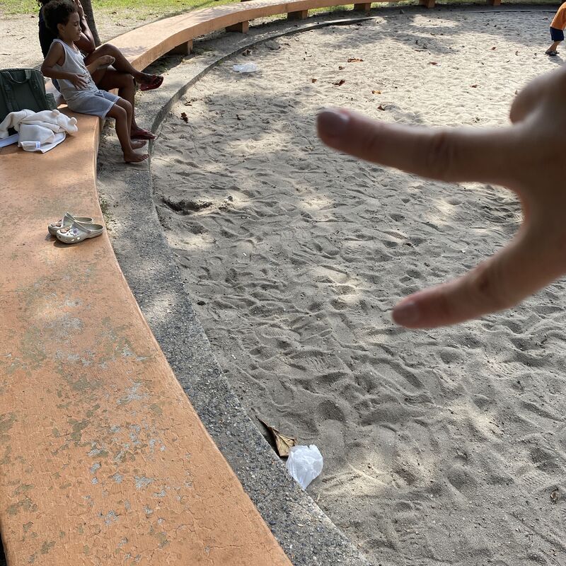 Imagem da publicação