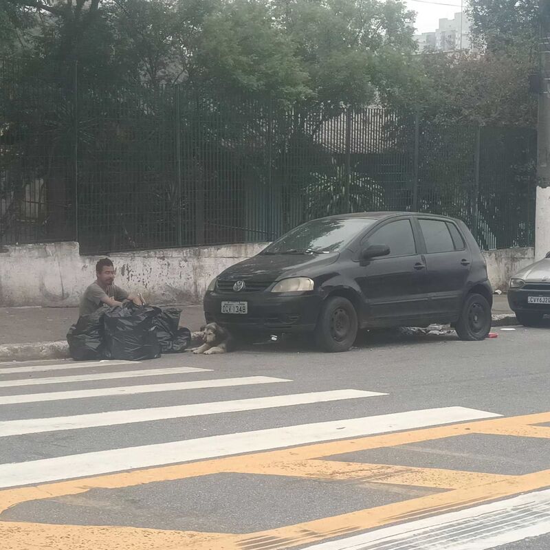 Imagem da publicação